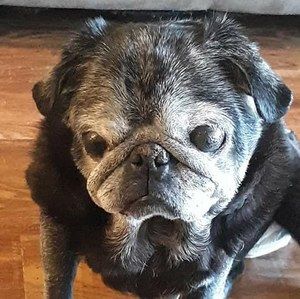 Meet your Posher, Debra